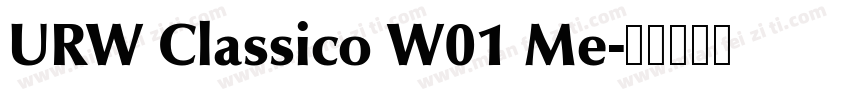 URW Classico W01 Me字体转换